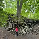 アパート Paradies In Der Vulkaneifel Mit Panorama-blick