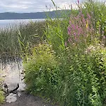 Paradies In Der Vulkaneifel Mit Panorama-blick アパート Burgbrohl