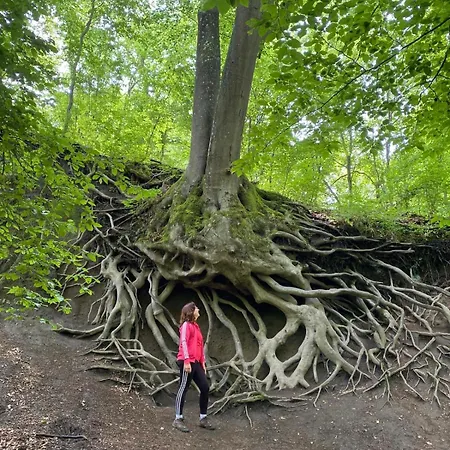 アパート Paradies In Der Vulkaneifel Mit Panorama-blick