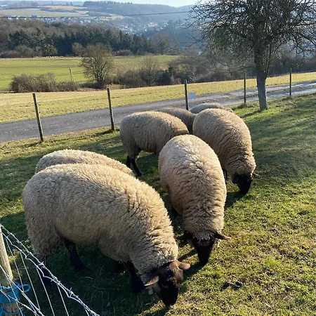 Paradies In Der Vulkaneifel Mit Panorama-blick アパート Burgbrohl