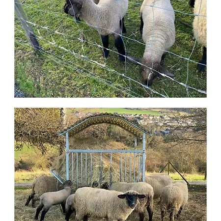 Paradies In Der Vulkaneifel - Panorama-blick Und Wintergarten Für Jedes Wetter