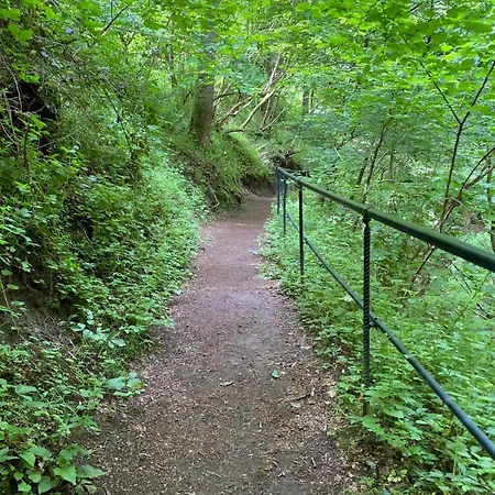 Paradies In Der Vulkaneifel Mit Panorama-blick アパート