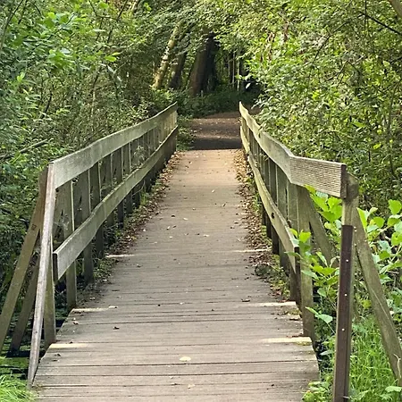 アパート Paradies In Der Vulkaneifel Mit Panorama-blick *
