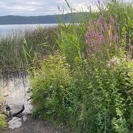 Paradies In Der Vulkaneifel - Panorama-blick Und Wintergarten Für Jedes Wetter Apartment Burgbrohl