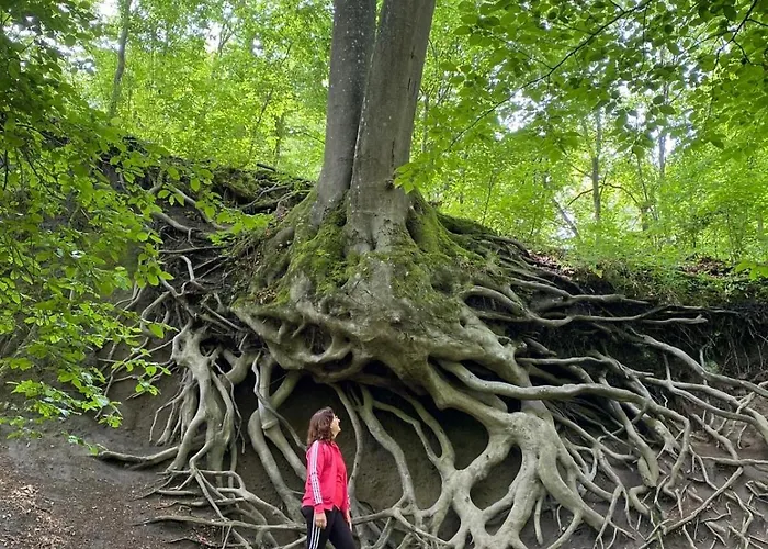 דירה Paradies In Der Vulkaneifel Mit Panorama-blick
