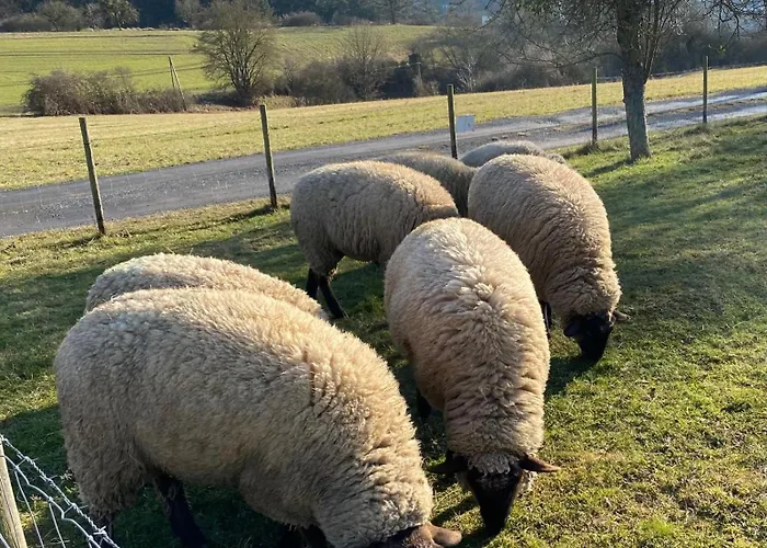 Paradies In Der Vulkaneifel Mit Panorama-blick דירה Burgbrohl