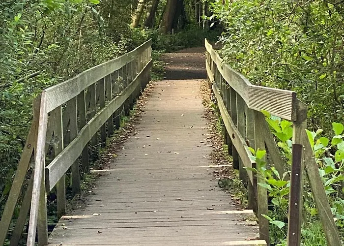 דירה Paradies In Der Vulkaneifel Mit Panorama-blick *