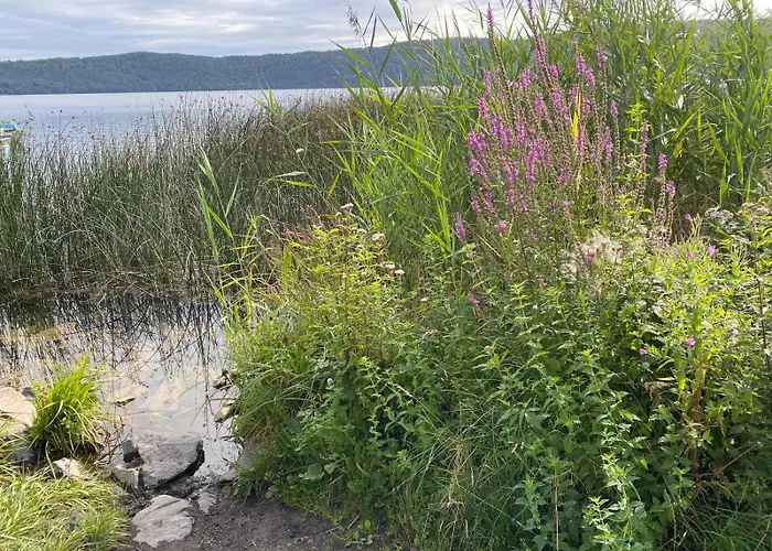 Paradies In Der Vulkaneifel Mit Panorama-blick דירה Burgbrohl